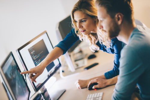 conveyancers reviewing their case management software on computer. 